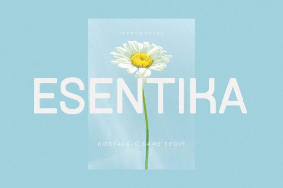 Esentika: A Classy Sans Serif for Branding That Feels Human