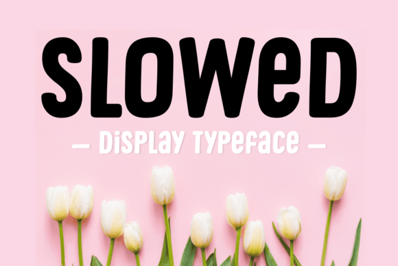Slowed: A Natural Display Font for Editorial Charm